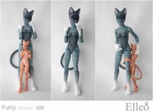 FurryCat_85