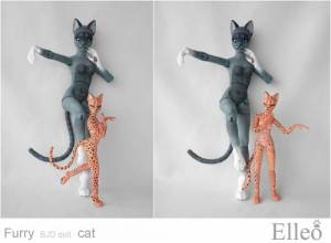 FurryCat_95