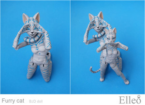 FurryCat_02