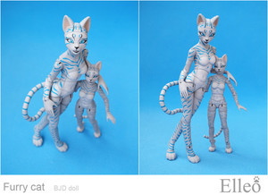 FurryCat_12