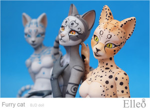 FurryCat_05