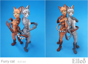 FurryCat_20