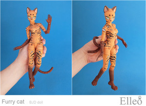 FurryCat_19