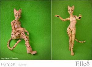 FurryCat_80