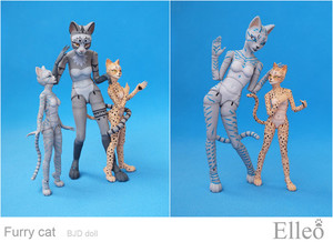 FurryCat_13