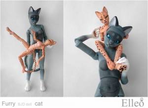 FurryCat_84