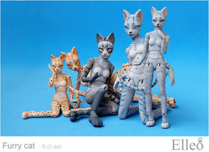 FurryCat_07