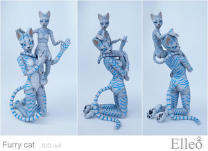 FurryCat_16