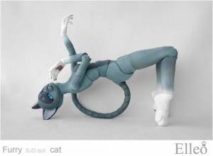 FurryCat_92