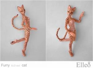 FurryCat_82