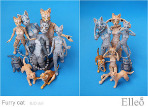 FurryCat_01