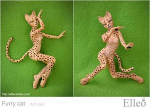 FurryCat_78