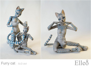 FurryCat_15