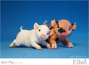 Mini_Pig_doll_bjd_06