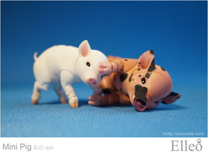 Mini_Pig_doll_bjd_05