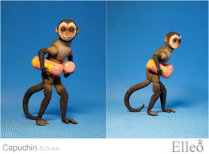 Capuchin_bjd_doll_elleo_08