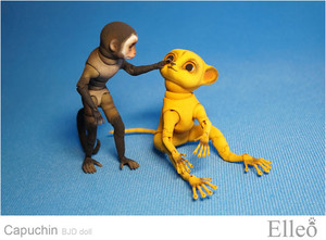 Capuchin_bjd_doll_elleo_06
