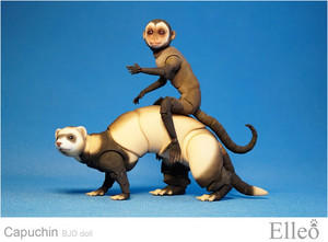 Capuchin_bjd_doll_elleo_05