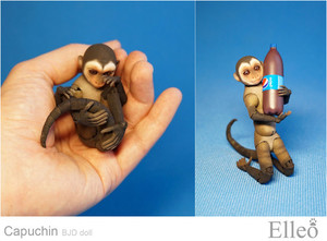 Capuchin_bjd_doll_elleo_07
