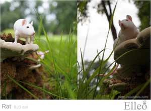 Rat_bjd_doll_03