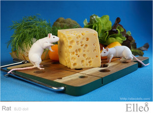 Rat_bjd_doll_02