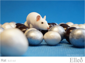 Rat_bjd_doll_16