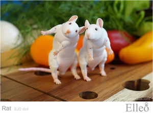 Rat_bjd_doll_01
