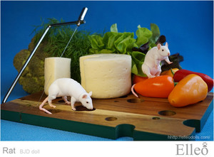 Rat_bjd_doll_04
