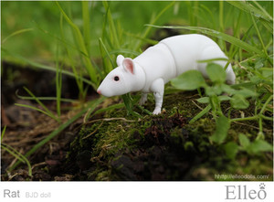 Rat_bjd_doll_02