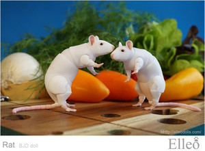 Rat_bjd_doll_11