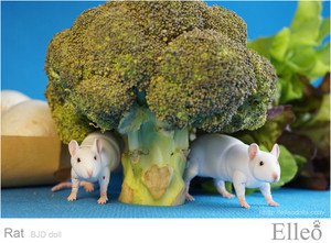 Rat_bjd_doll_12