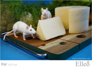 Rat_bjd_doll_10