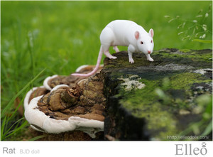 Rat_bjd_doll_01